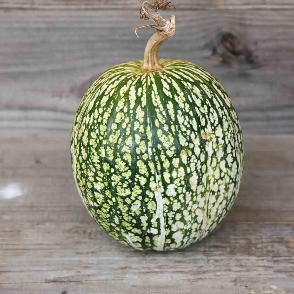 Graines de courge de siam bio – La Ferme de Sainte Marthe