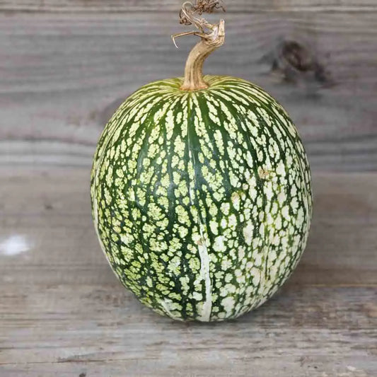 Graines de courge de siam bio – La Ferme de Sainte Marthe