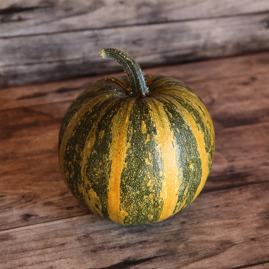 Graines de courge lady godiva bio – La Ferme de Sainte Marthe