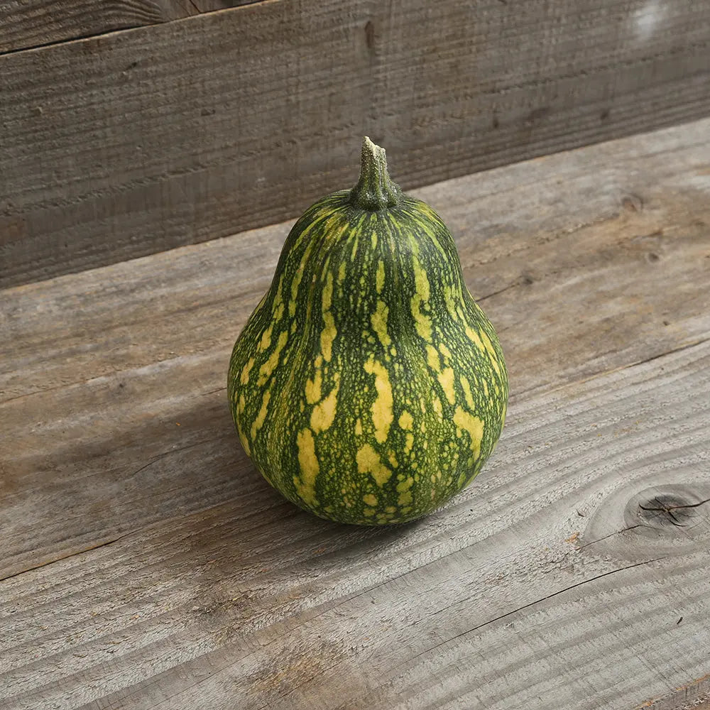 Graines de courge musquée ayote à chair verte du guatemala bio – La Ferme de Sainte Marthe