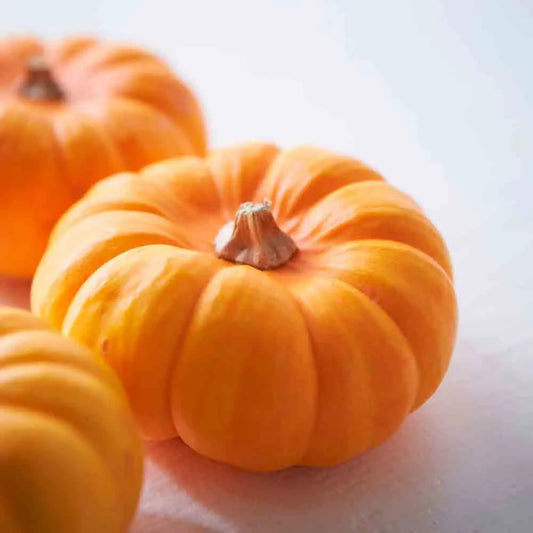 Graines de courge musquée carat bio – La Ferme de Sainte Marthe