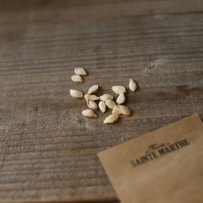 Graines de courge musquée honeynut bio – La Ferme de Sainte Marthe