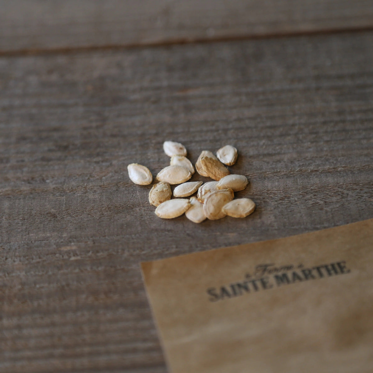 Graines de courge musquée nutterbutter bio – La Ferme de Sainte Marthe