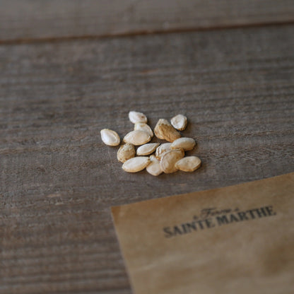Graines de courge musquée nutterbutter bio – La Ferme de Sainte Marthe