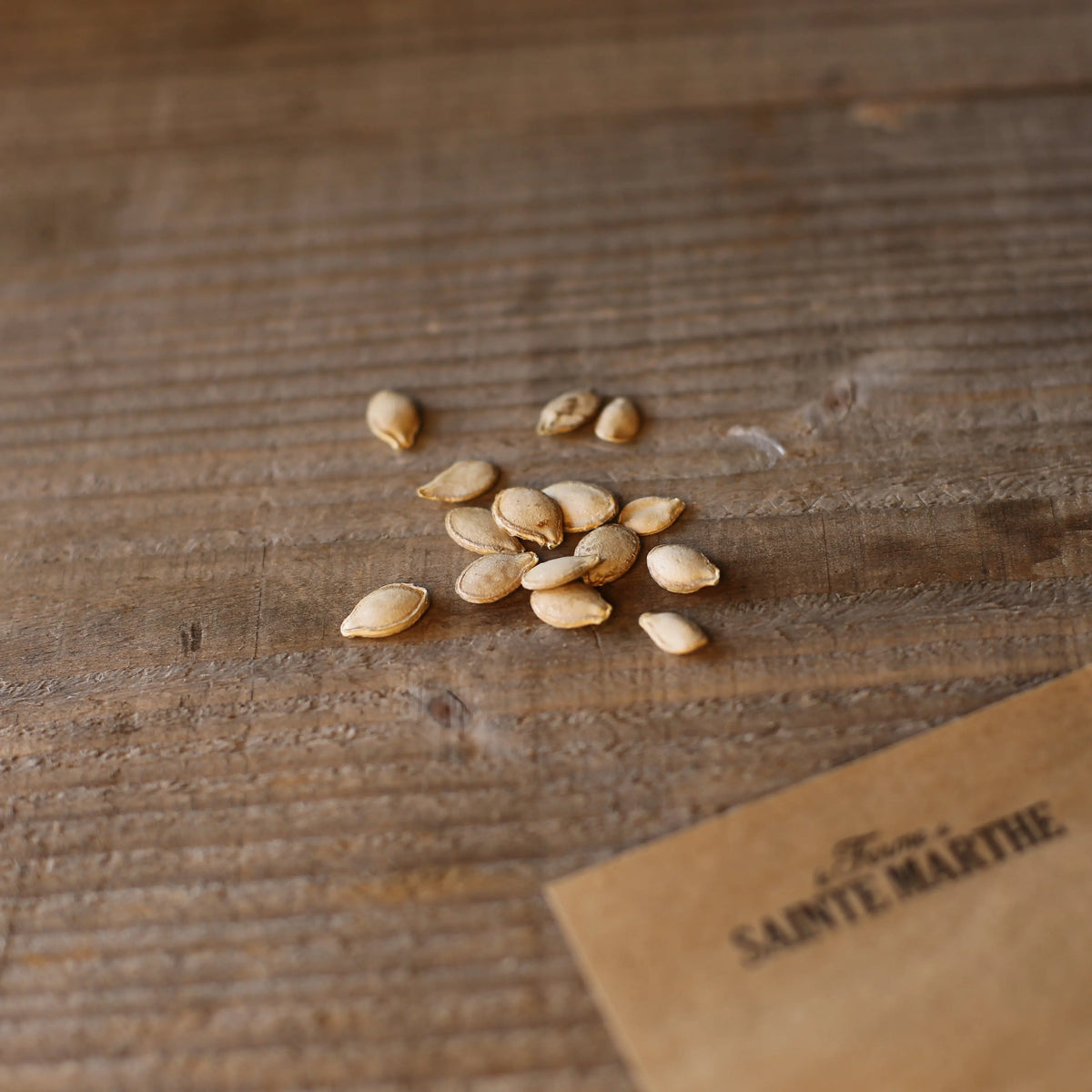 Graines de courge musquée sucrine du berry bio – La Ferme de Sainte Marthe