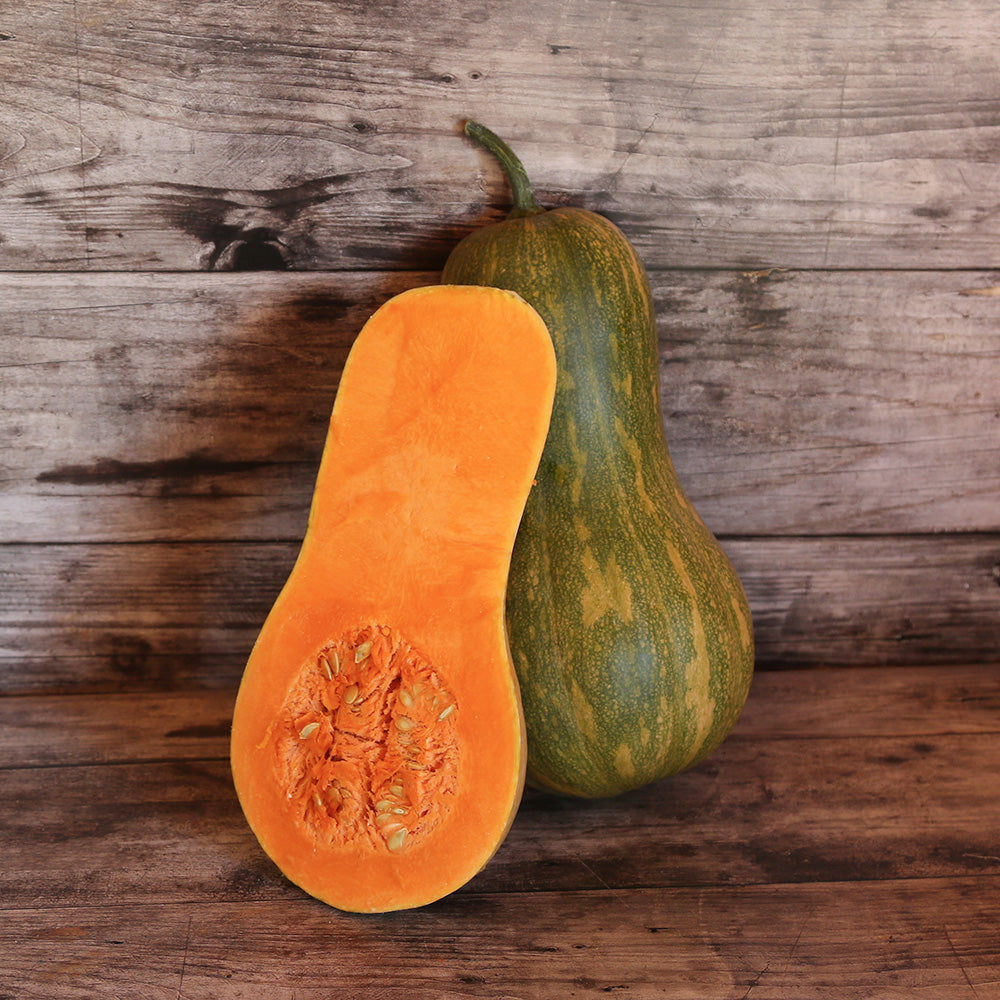 Graines de courge musquée sucrine du berry bio – La Ferme de Sainte Marthe