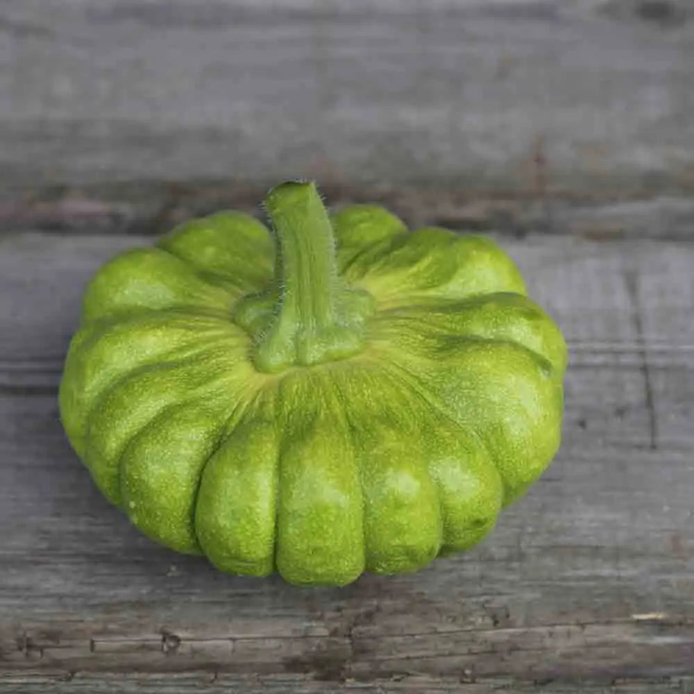 Graines de courge musquée yuxijiangbinggua bio – La Ferme de Sainte Marthe