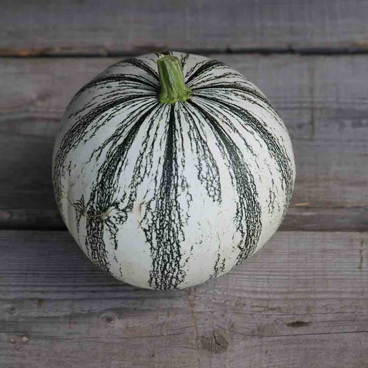 Graines de courge pepita squash bio – La Ferme de Sainte Marthe