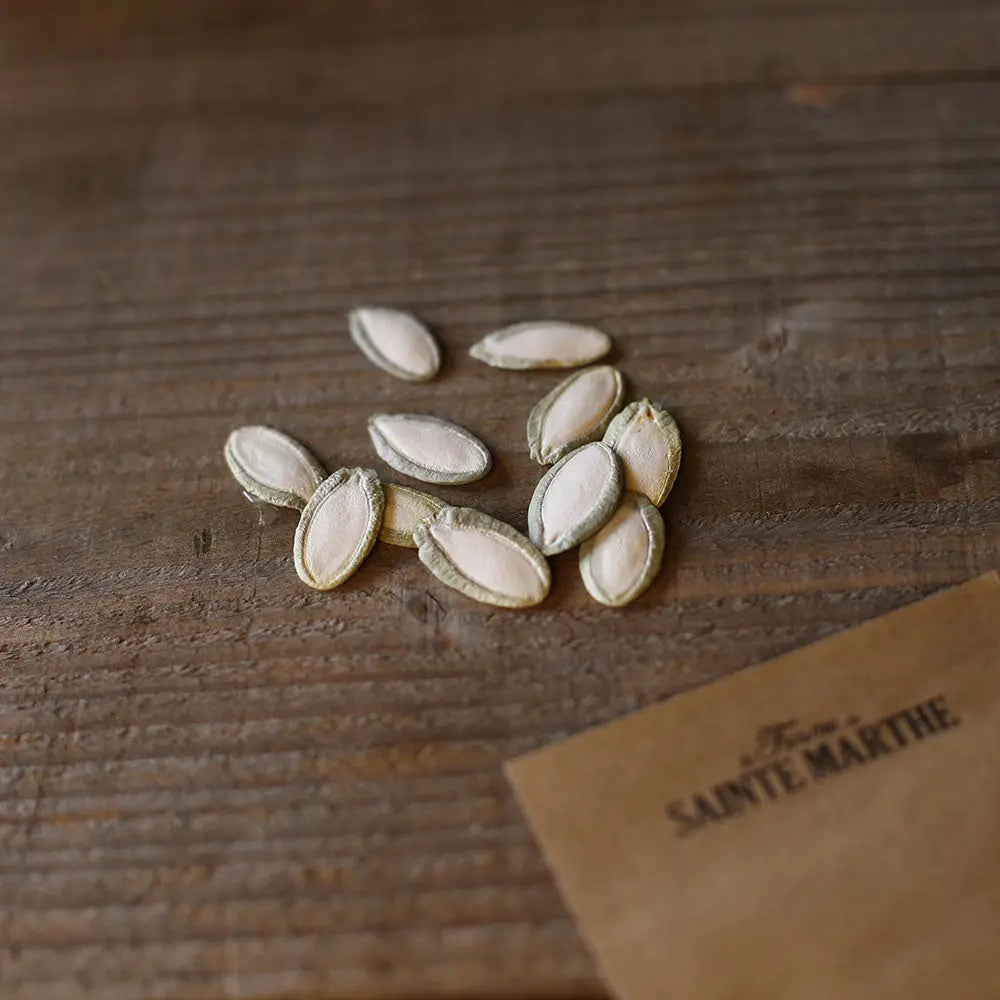 Graines de courge pepita squash bio – La Ferme de Sainte Marthe