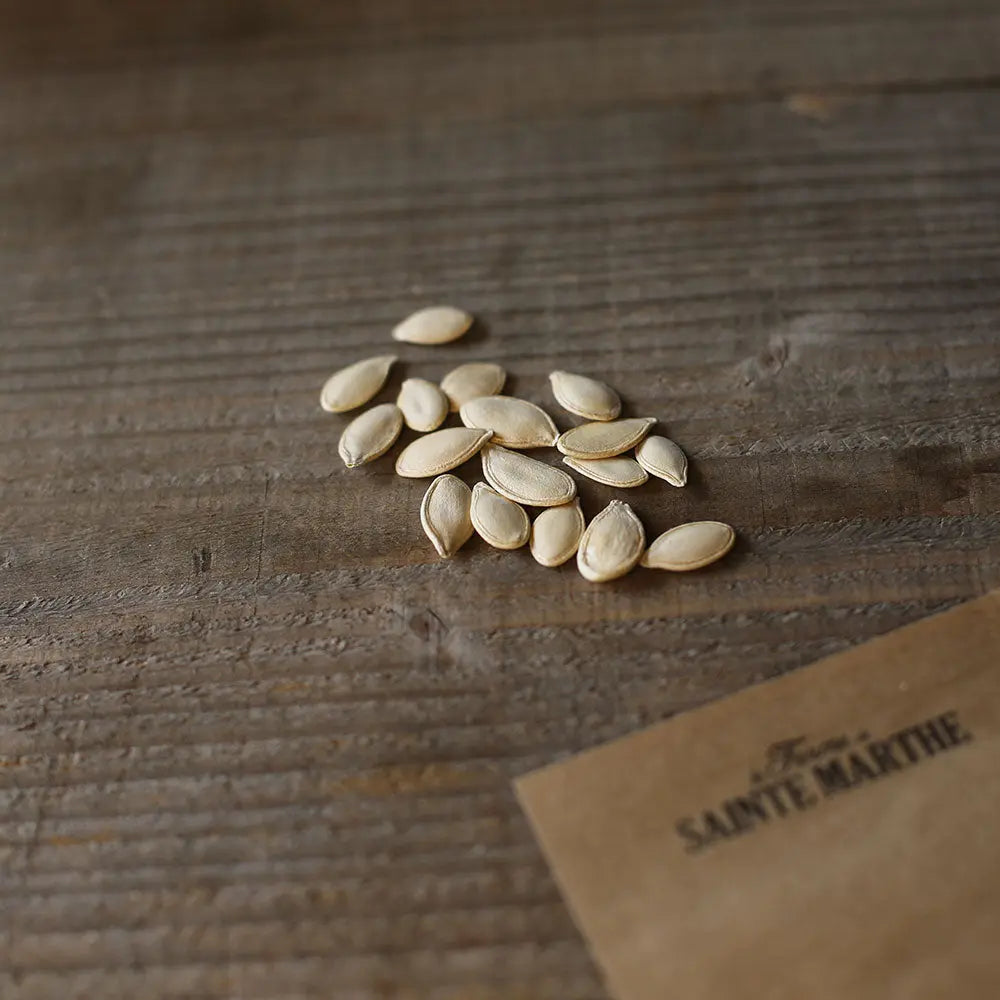 Graines de courge petite sucrée bio – La Ferme de Sainte Marthe