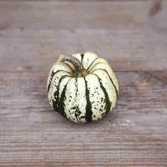 Graines de courge sweet dumpling (patidou) bio – La Ferme de Sainte Marthe