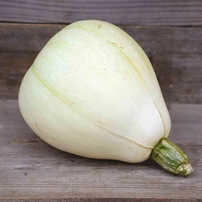 Graines de courge tennessee sweet potato bio – La Ferme de Sainte Marthe