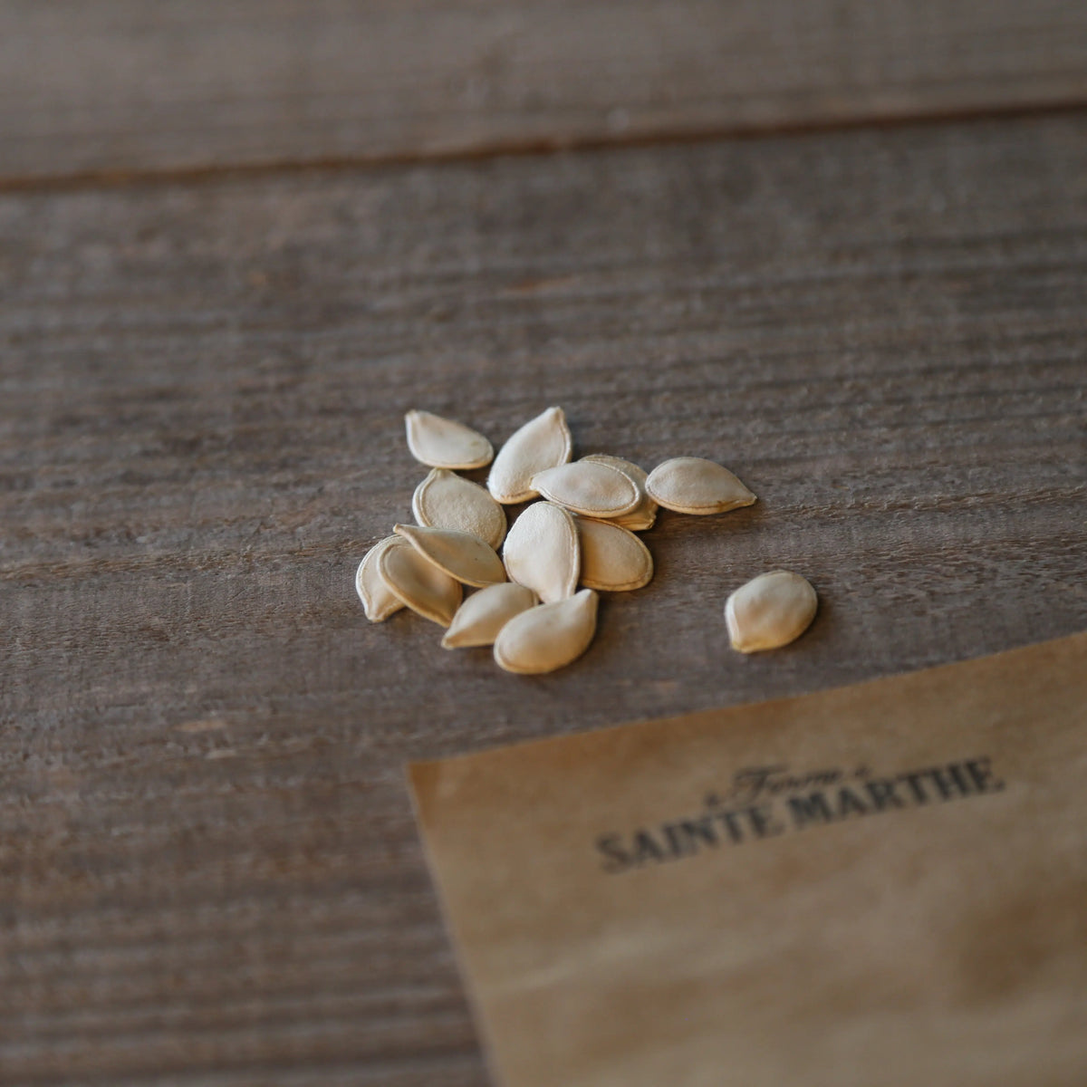 Graines de courge winter luxury bio – La Ferme de Sainte Marthe