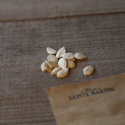 Graines de courge winter luxury bio – La Ferme de Sainte Marthe