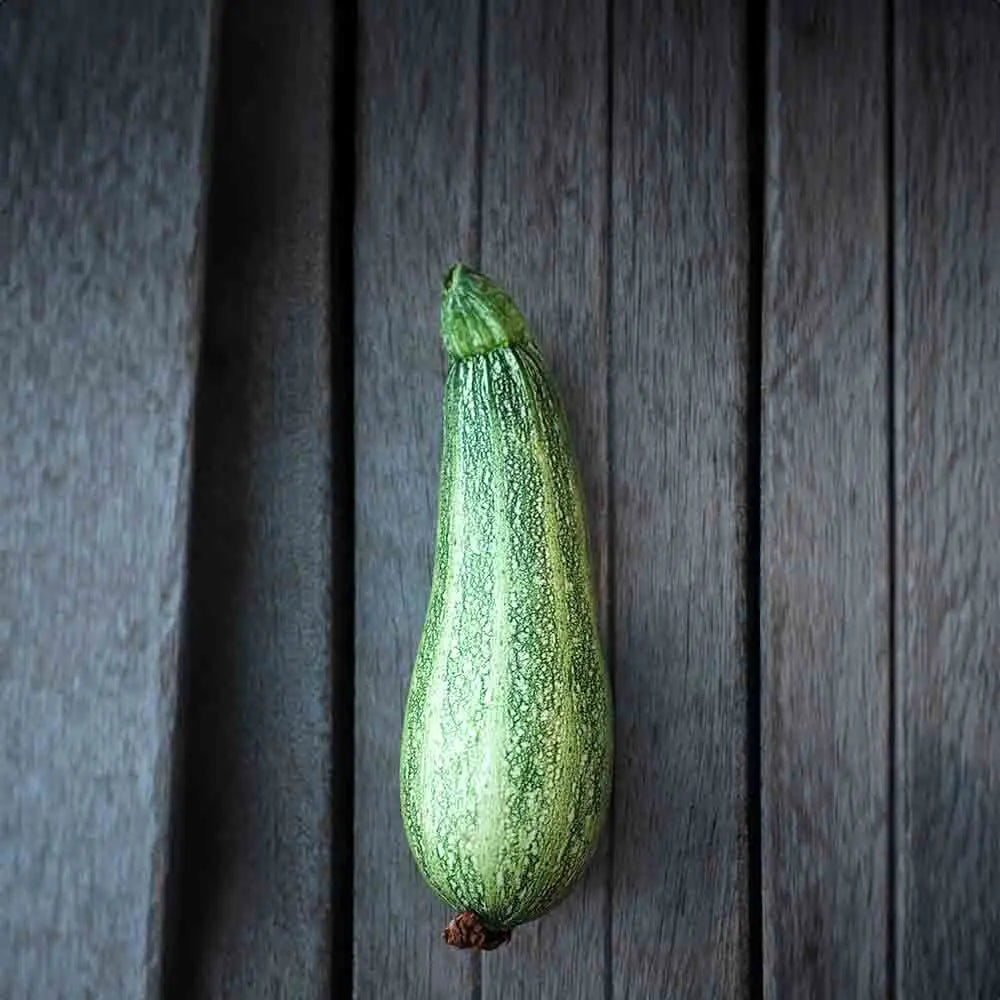 Graines de courgette caserta bio – La Ferme de Sainte Marthe