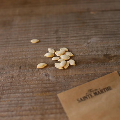 Graines de courgette grisette de provence ou greyzini bio – La Ferme de Sainte Marthe