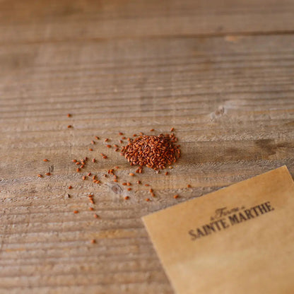 Graines de cresson de jardin bio – La Ferme de Sainte Marthe