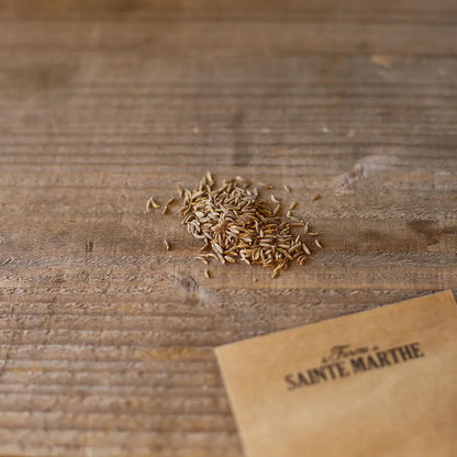 Graines de cumin – La Ferme de Sainte Marthe