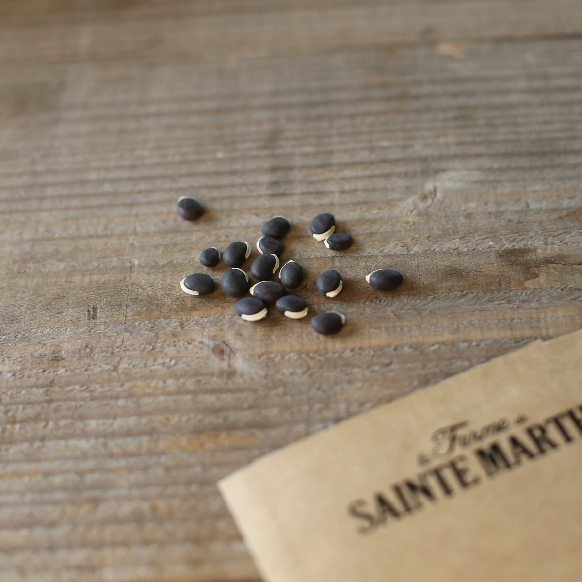 Graines de dolique ou pois cuir ruby moon bio – La Ferme de Sainte Marthe