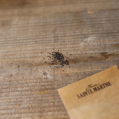 Graines d'épinard fraise bio – La Ferme de Sainte Marthe