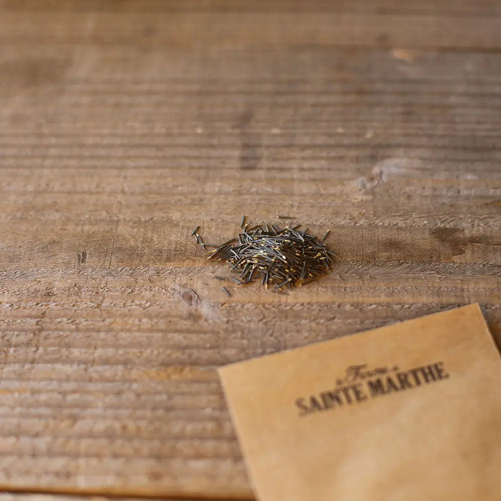 Graines d'estragon bio – La Ferme de Sainte Marthe