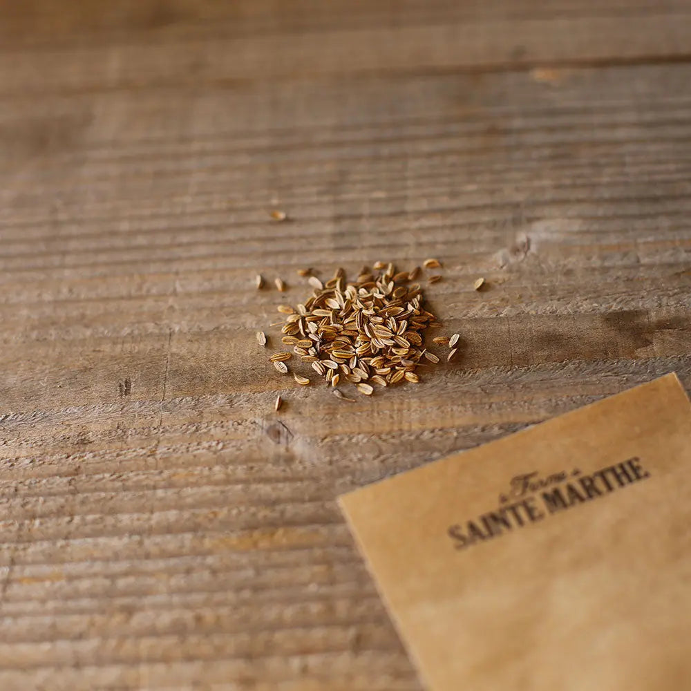 Graines de fenouil romanesco bio – La Ferme de Sainte Marthe