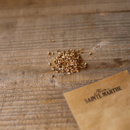 Graines de fenouil romanesco bio – La Ferme de Sainte Marthe