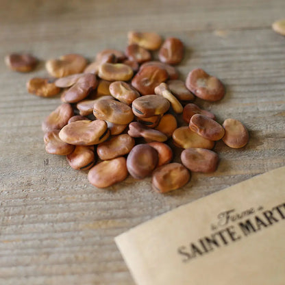 Graines de fève aguadulce à très longue cosse bio – La Ferme de Sainte Marthe