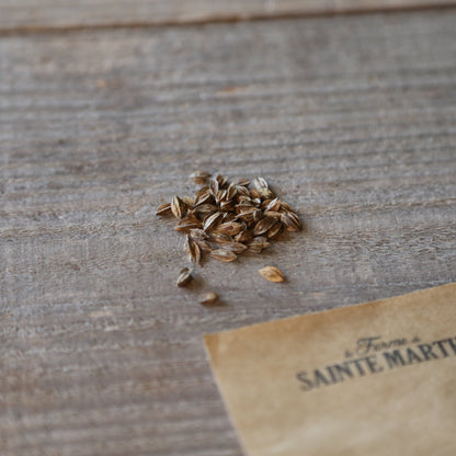 Graines de gaura bio – La Ferme de Sainte Marthe