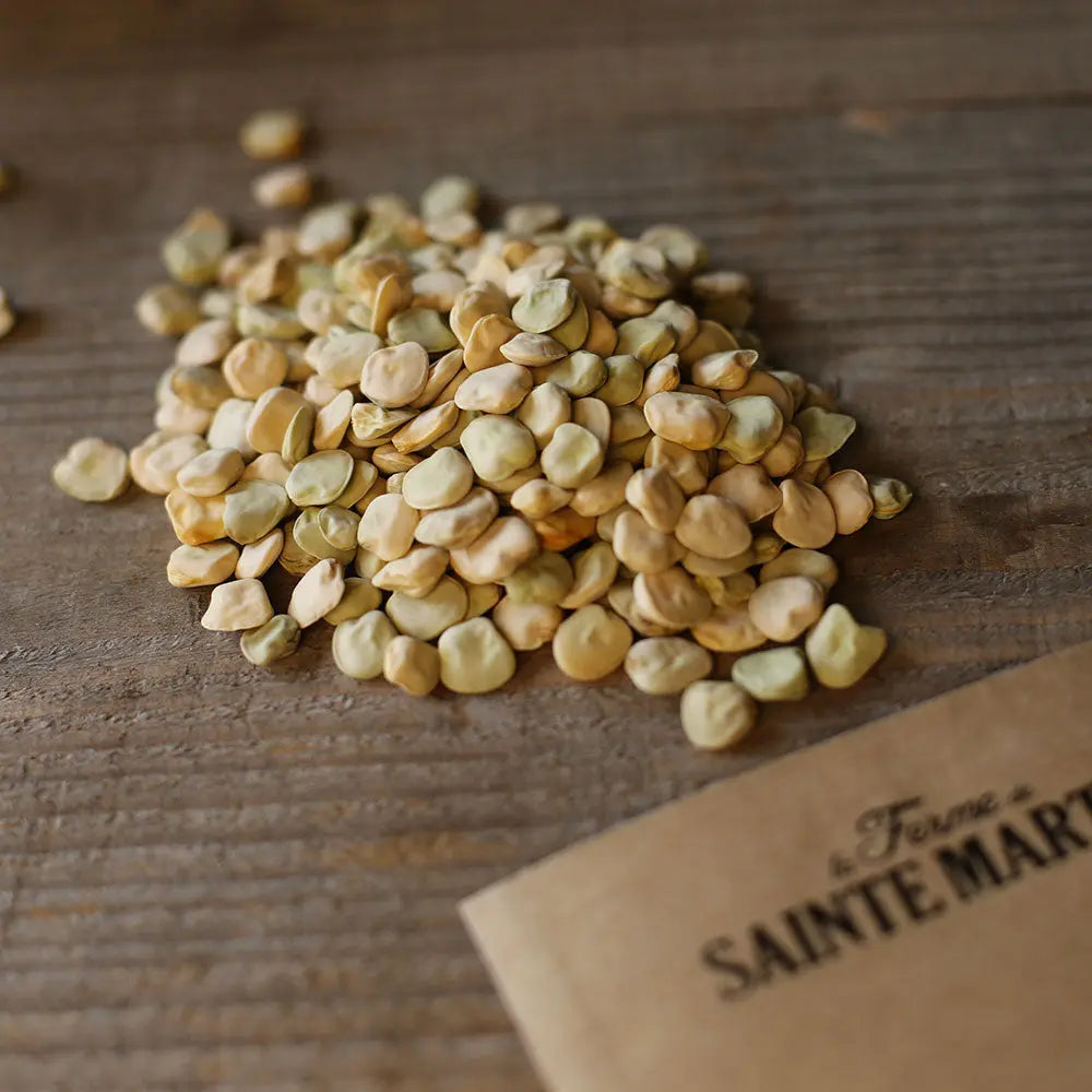 Graines de gesse pois carré bio – La Ferme de Sainte Marthe