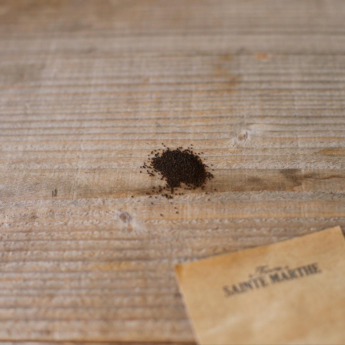 Graines de grand muflier bio – La Ferme de Sainte Marthe