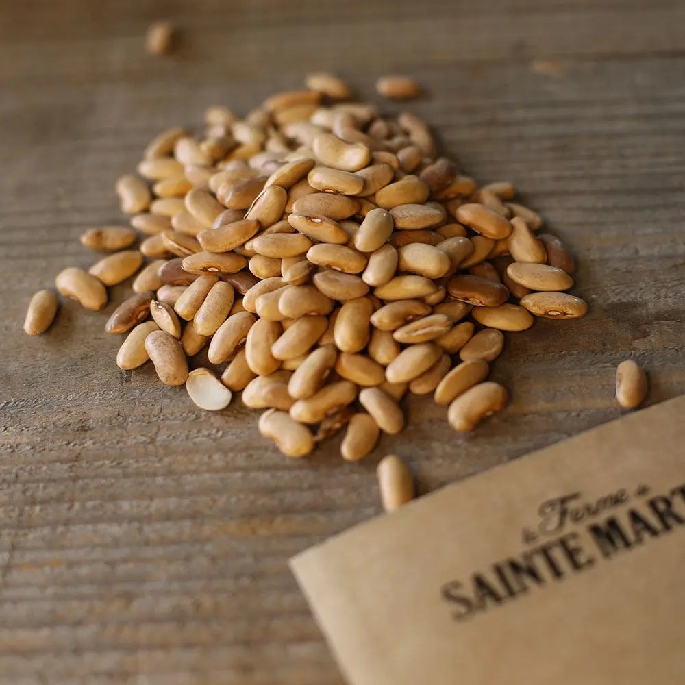 Graines de haricot à rames blauhilde bio – La Ferme de Sainte Marthe