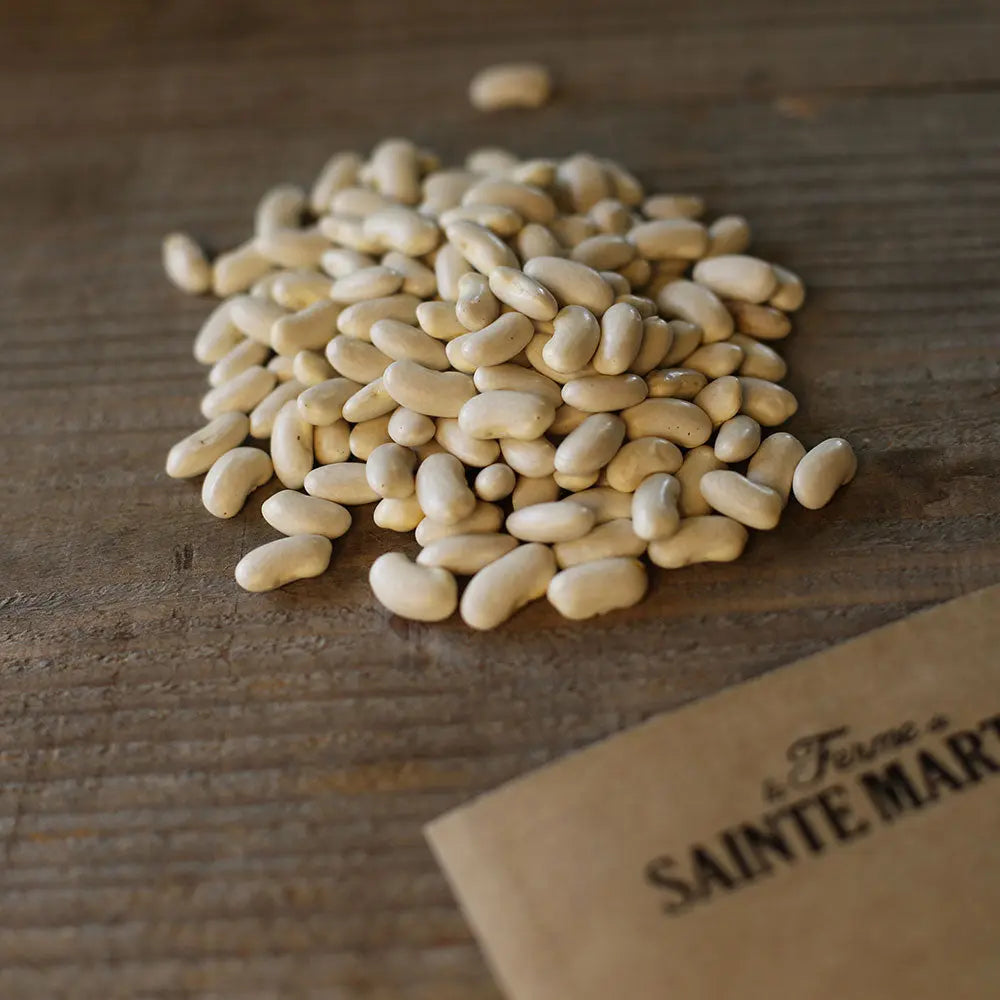 Graines de haricot à rames eva plat bio – La Ferme de Sainte Marthe