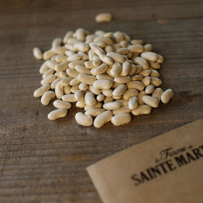 Graines de haricot à rames eva plat bio – La Ferme de Sainte Marthe