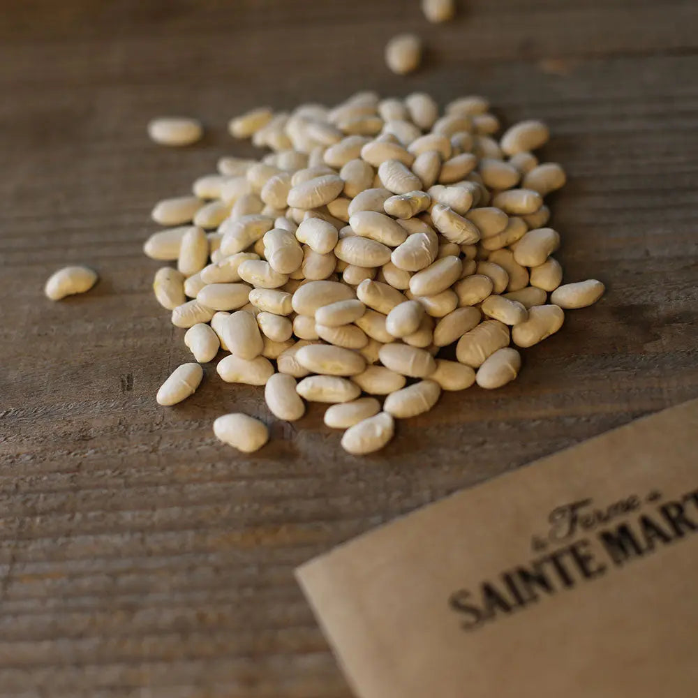 Graines de haricot à rames helda plat bio – La Ferme de Sainte Marthe