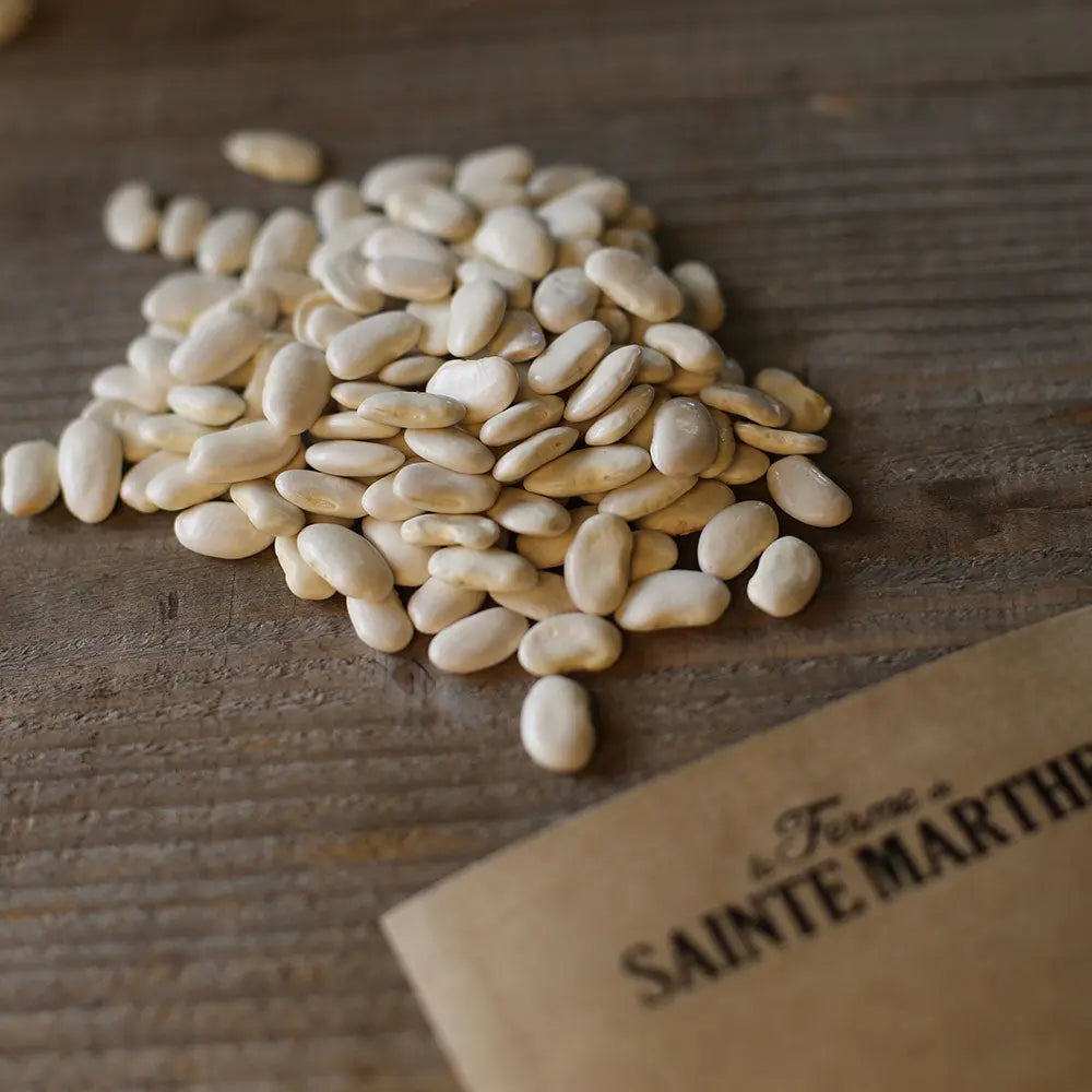 Graines de haricot à rames soissons blanc à écosser bio – La Ferme de Sainte Marthe