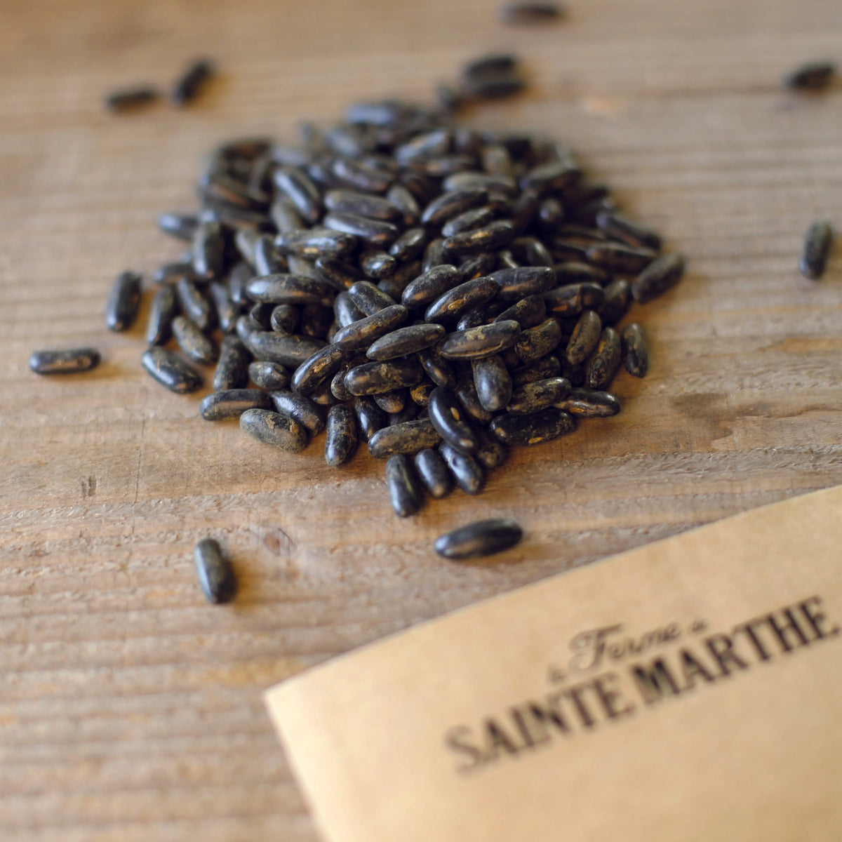 Graines de haricot nain aiguillon bio – La Ferme de Sainte Marthe