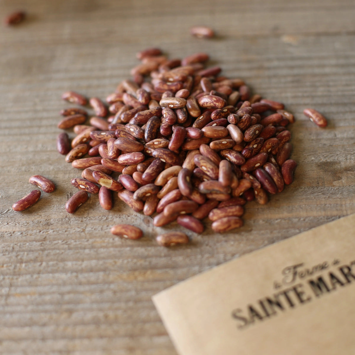 Graines de haricot nain de bagnols bio – La Ferme de Sainte Marthe