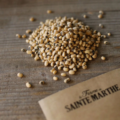 Graines de haricot nain dolique dell'occhio bio – La Ferme de Sainte Marthe