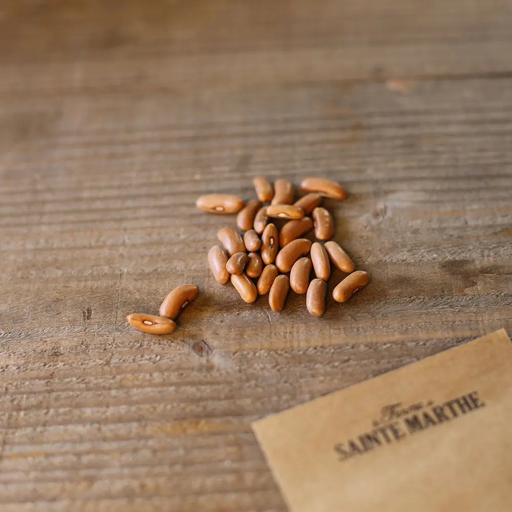 Graines de haricot nain maxi bio – La Ferme de Sainte Marthe