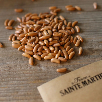 Graines de haricot nain maxi bio – La Ferme de Sainte Marthe