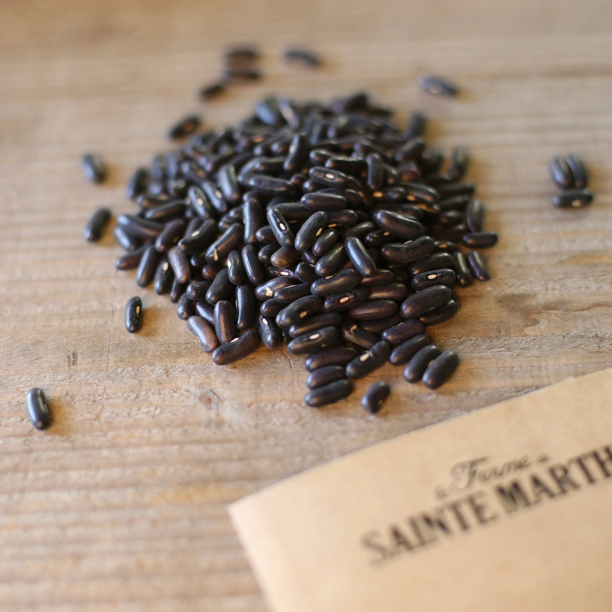 Graines de haricot nain pongo bio – La Ferme de Sainte Marthe