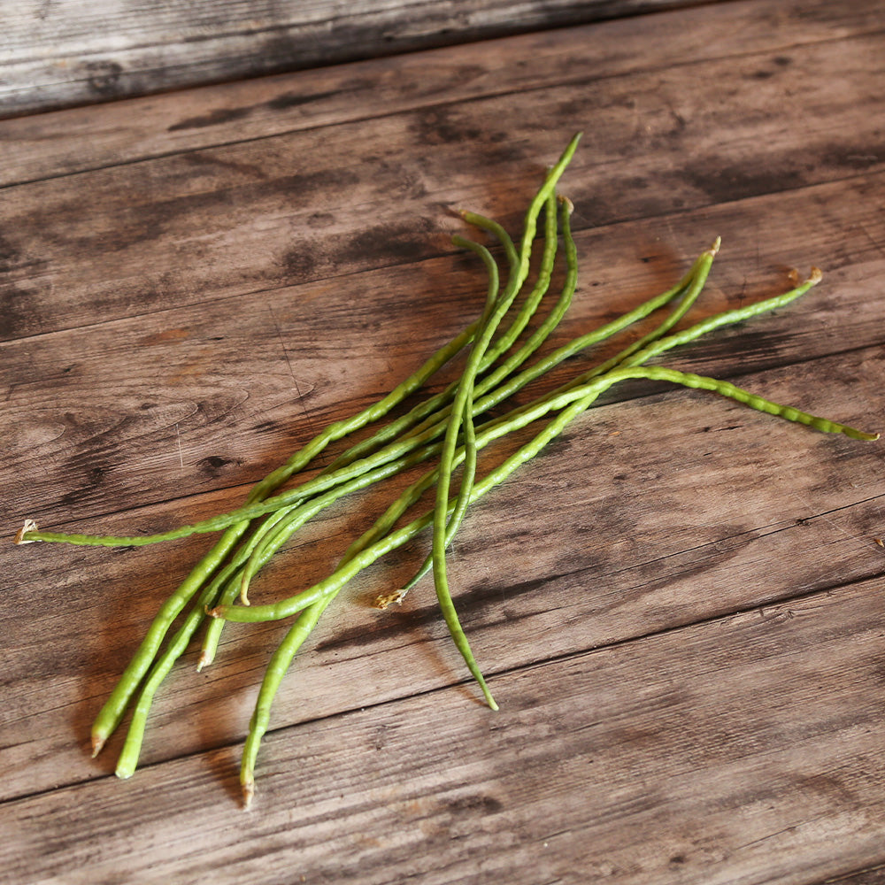 Graines de haricot serpent ou dolique asperge vert bio – La Ferme de Sainte Marthe