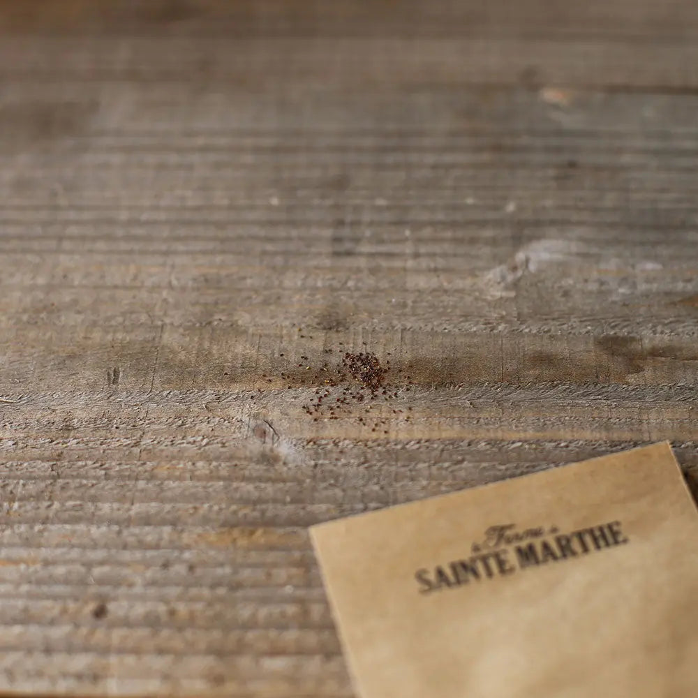 Graines d'hélichryse plante curry bio – La Ferme de Sainte Marthe