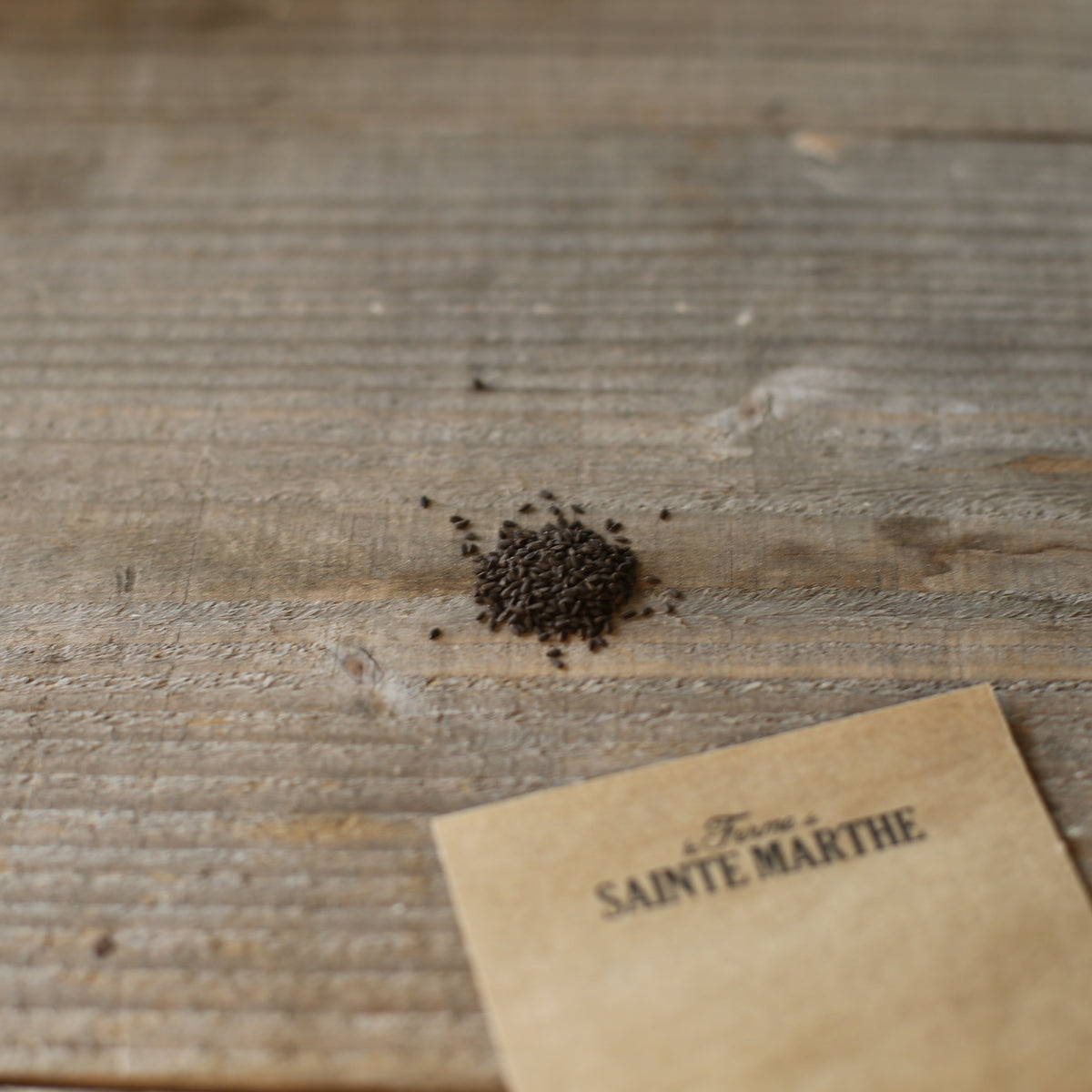 Graines d'hysope bio – La Ferme de Sainte Marthe
