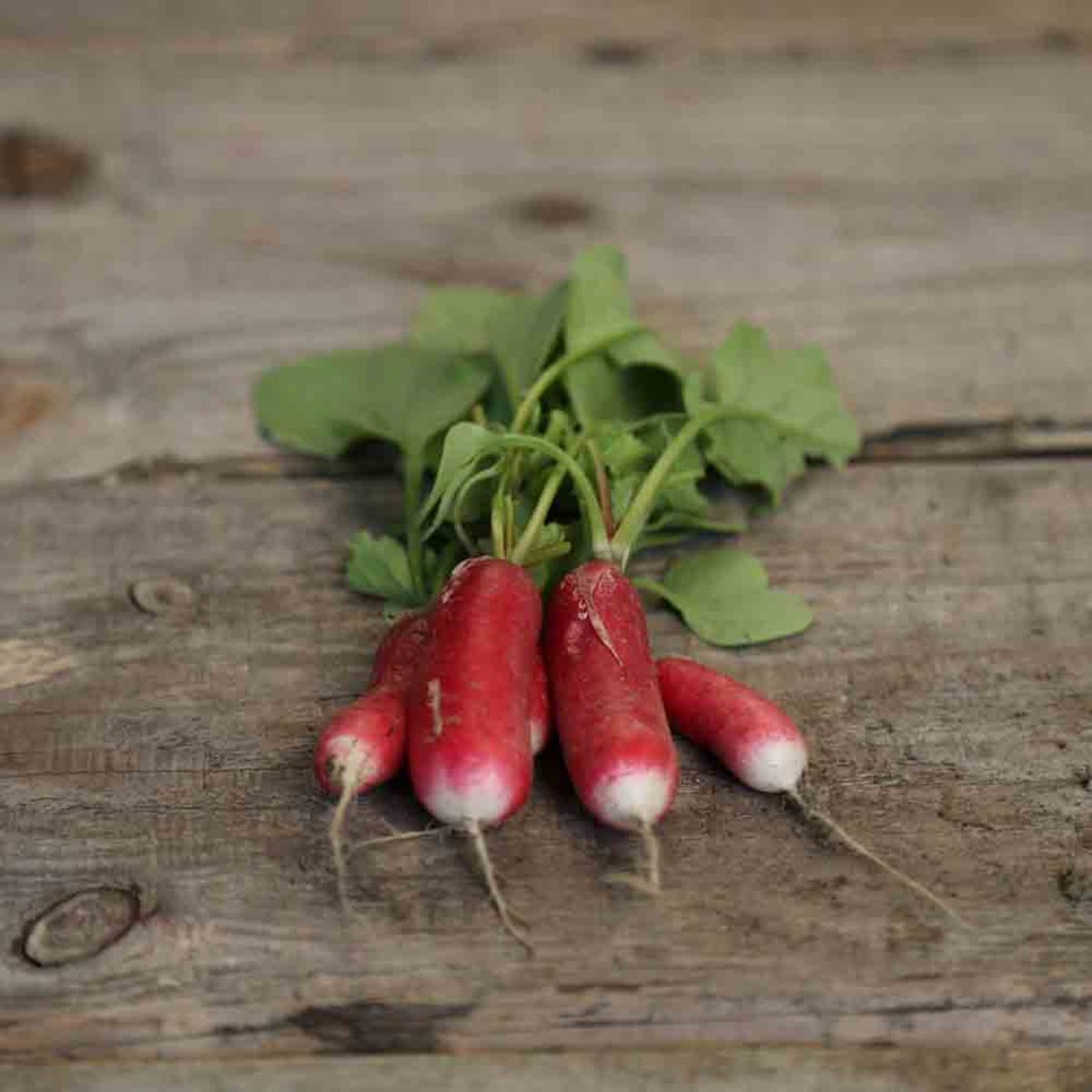 BAND 3 M FLAMBOYANT RADISH 2 AB