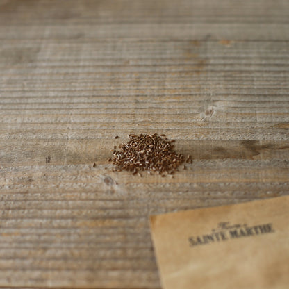 Graines d'immortelle à grande bractée sylver pink bio – La Ferme de Sainte Marthe