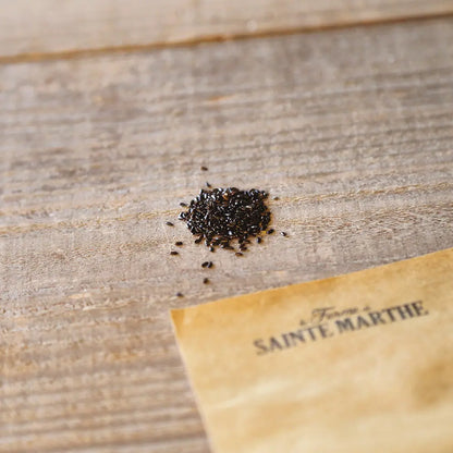 Graines de lavande bio – La Ferme de Sainte Marthe