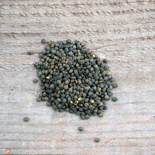 Graines de lentille anicia bio – La Ferme de Sainte Marthe