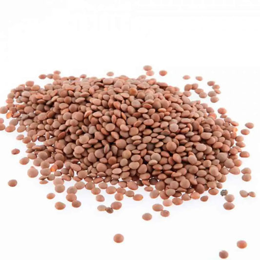 Graines de lentille commune blonde bio – La Ferme de Sainte Marthe